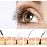 Eyelash Growth Serum 8 ML